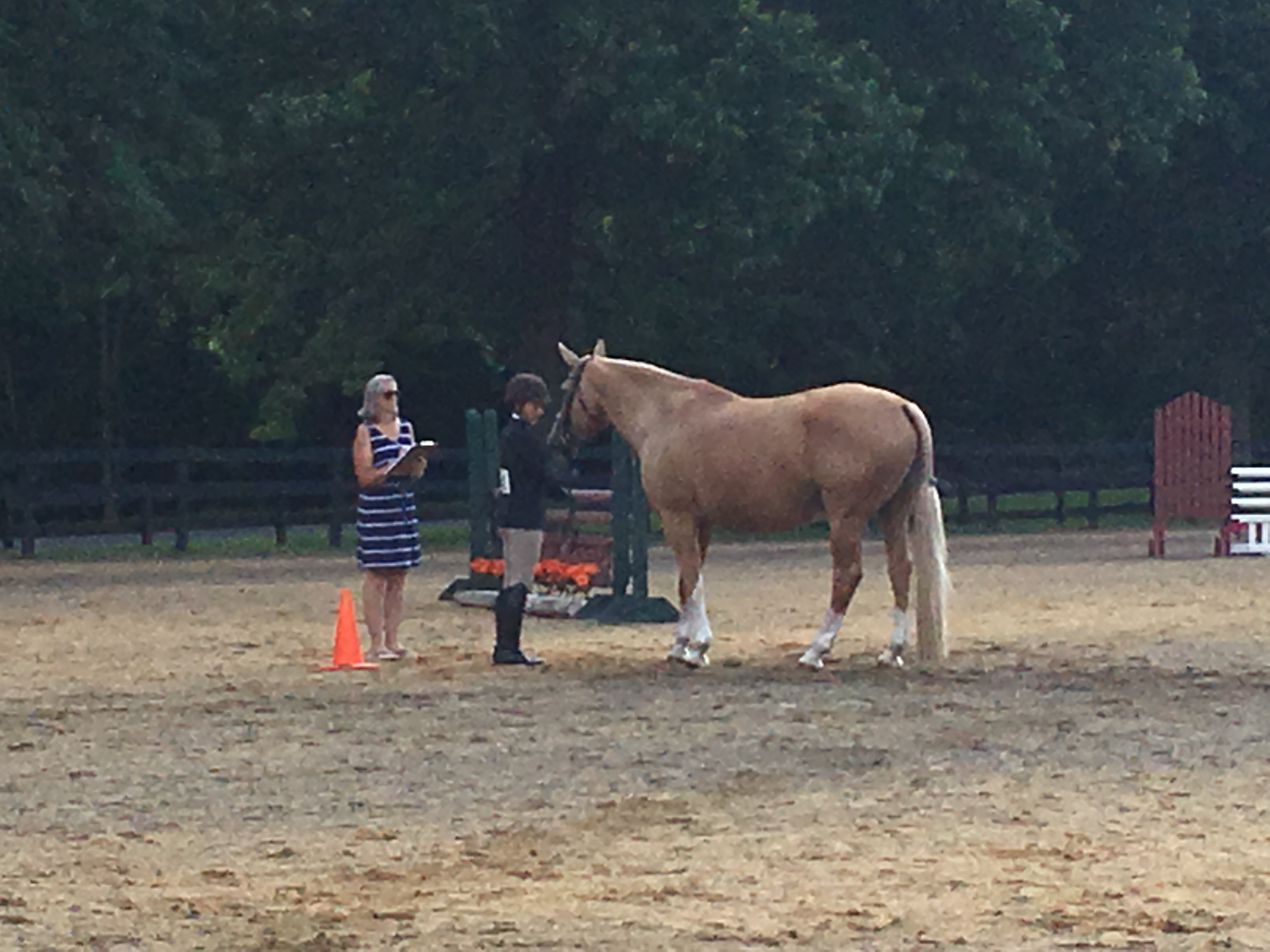 horse stables northern virginia